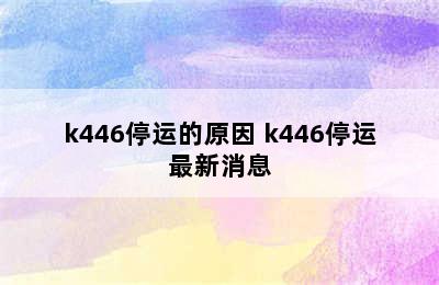 k446停运的原因 k446停运最新消息